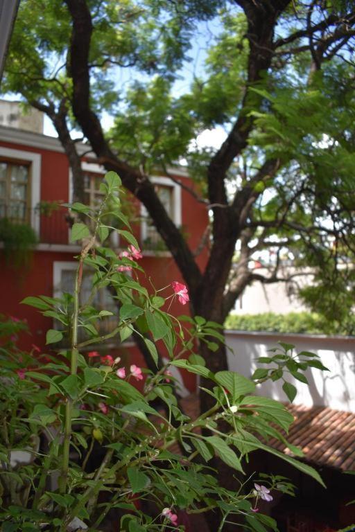 Hotel Ana Catalina And Suites 산미겔데아옌데 외부 사진