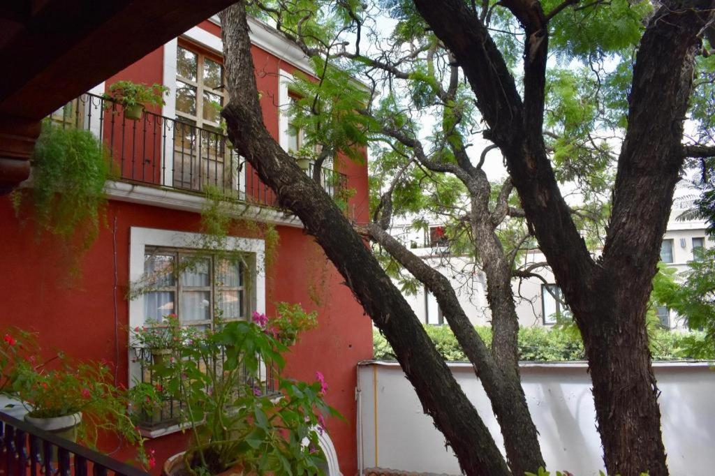 Hotel Ana Catalina And Suites 산미겔데아옌데 외부 사진